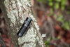 OLIGHT WARRIOR NANO