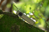 OLIGHT ARKFELD ULTRA
