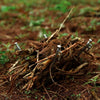 CAMPING STAKE FOR TENT