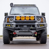 Prado 250 APEX Bull Bar
