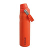 Stanley Aerolight IceFlow Water Bottle Fast Flow 0.6L/20 Oz-Tigerlily